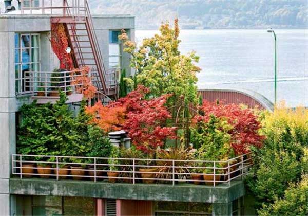 怎樣提升您家陽(yáng)臺(tái)的整體效果