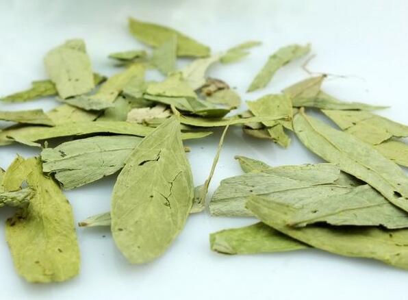 番瀉葉能不能減肥？