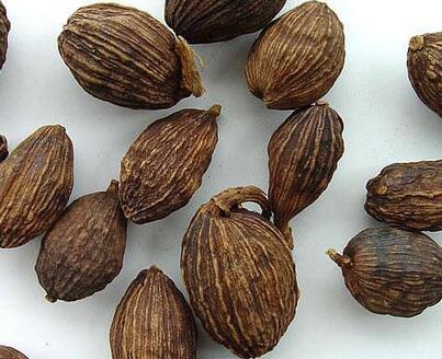 草果有什么作用？怎么制作呢？