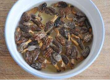 羊肚菌怎么泡呢？