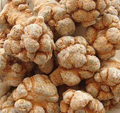 三七貴嗎？選購技巧是什么呢？