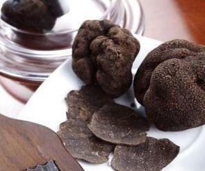 黑松露是什么？