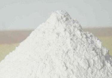 2019膩?zhàn)臃燮放仆扑]