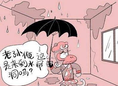 怎么辨別防水材料的真假？